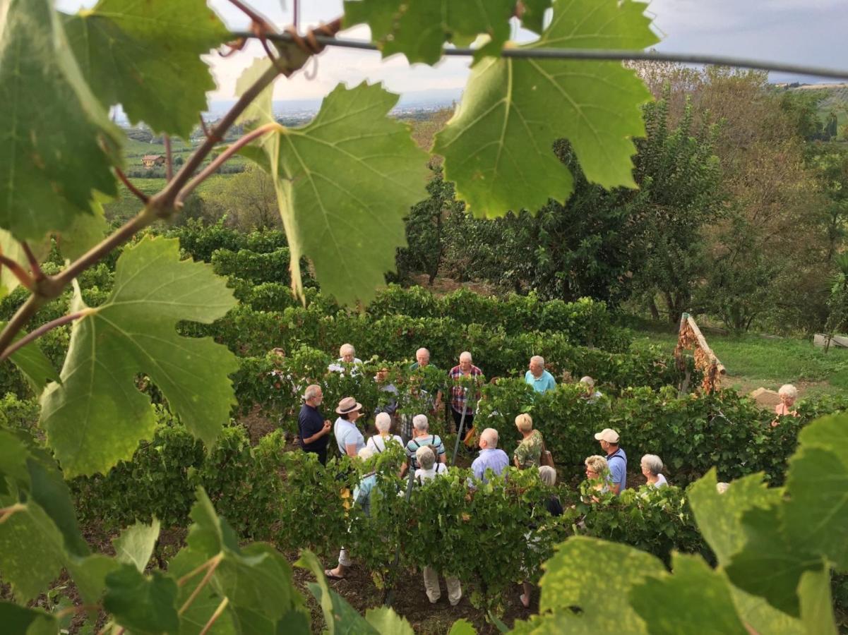 Merumalia Wine Resort Frascati Exteriör bild