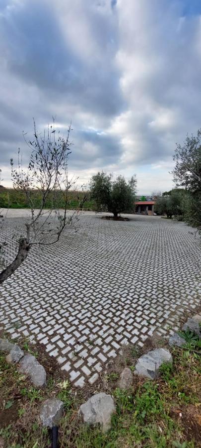 Merumalia Wine Resort Frascati Exteriör bild