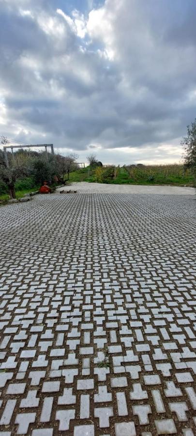 Merumalia Wine Resort Frascati Exteriör bild