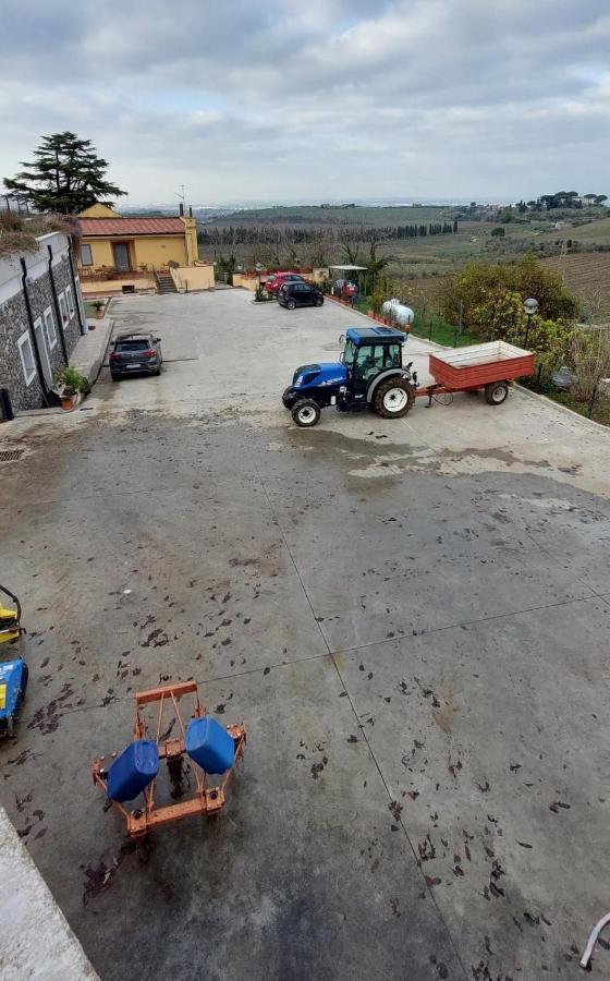 Merumalia Wine Resort Frascati Exteriör bild