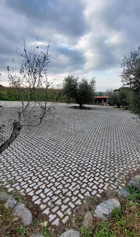 Merumalia Wine Resort Frascati Exteriör bild