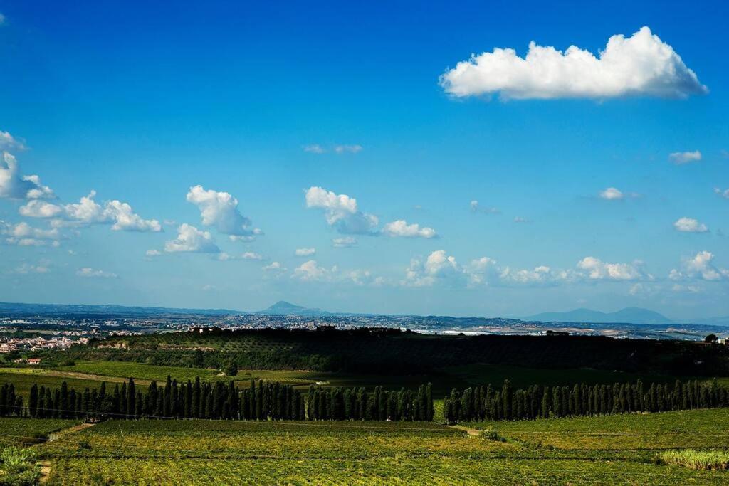 Merumalia Wine Resort Frascati Exteriör bild