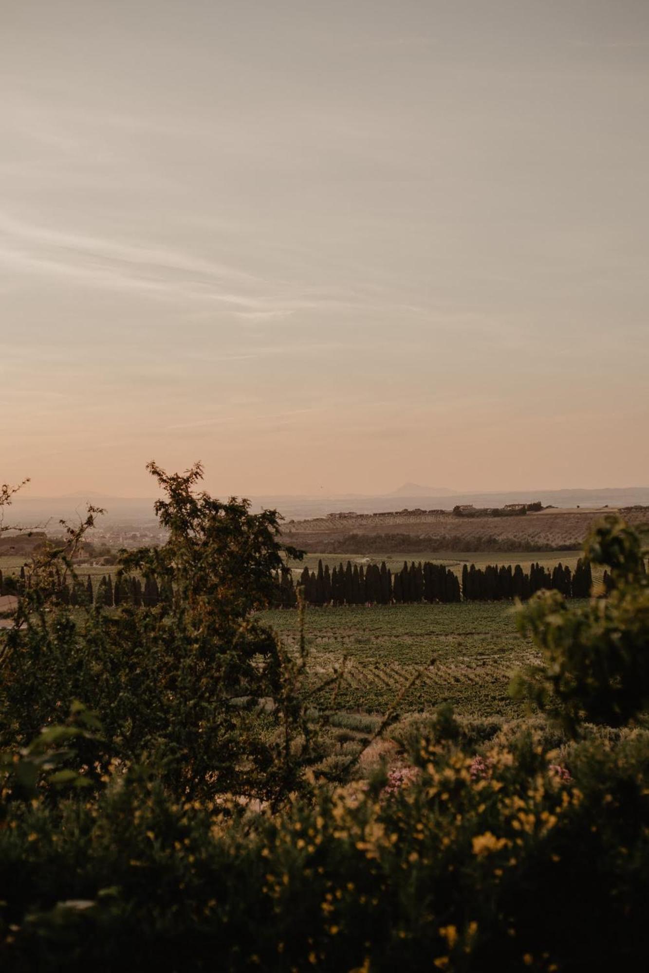 Merumalia Wine Resort Frascati Exteriör bild