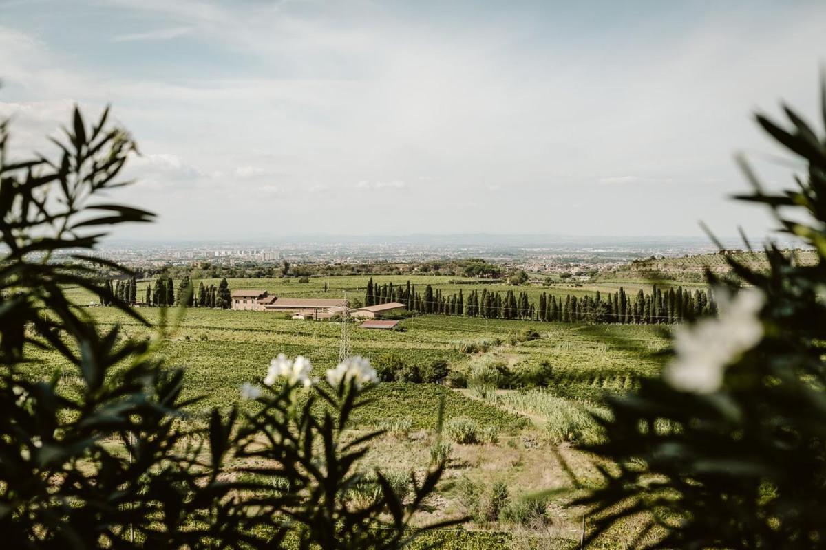 Merumalia Wine Resort Frascati Exteriör bild