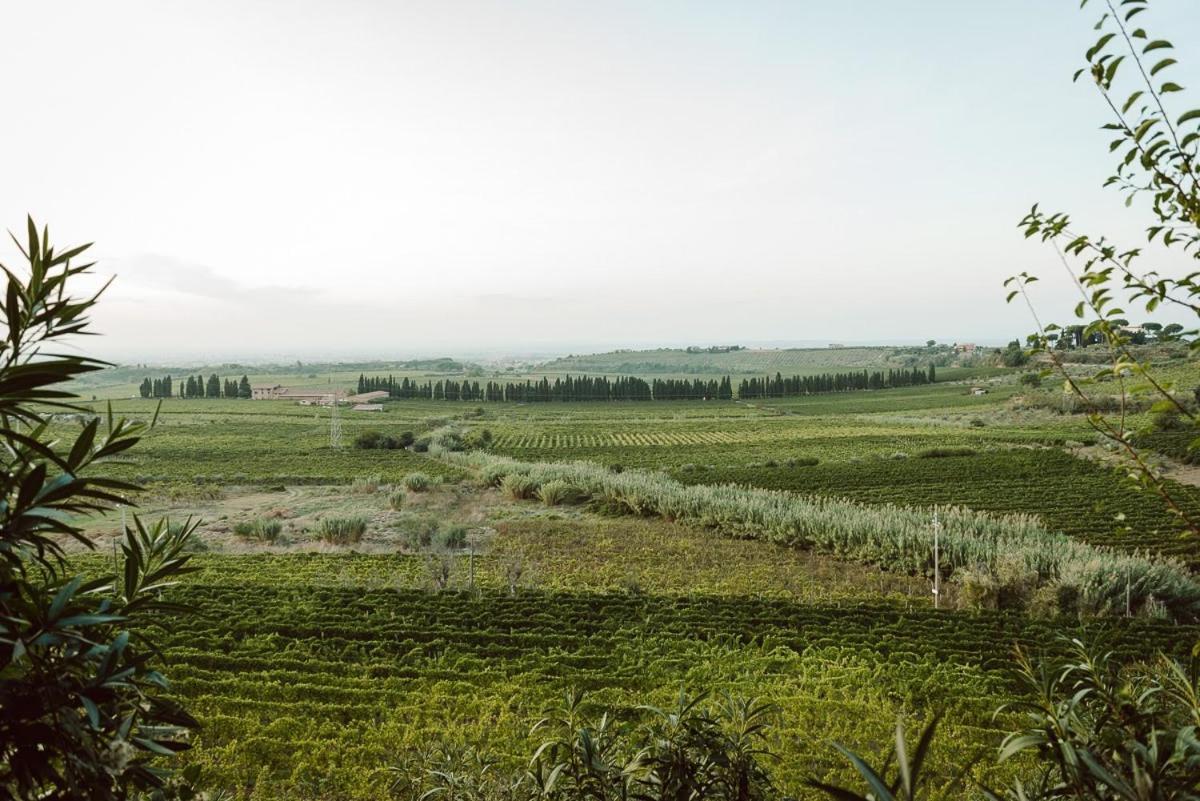 Merumalia Wine Resort Frascati Exteriör bild
