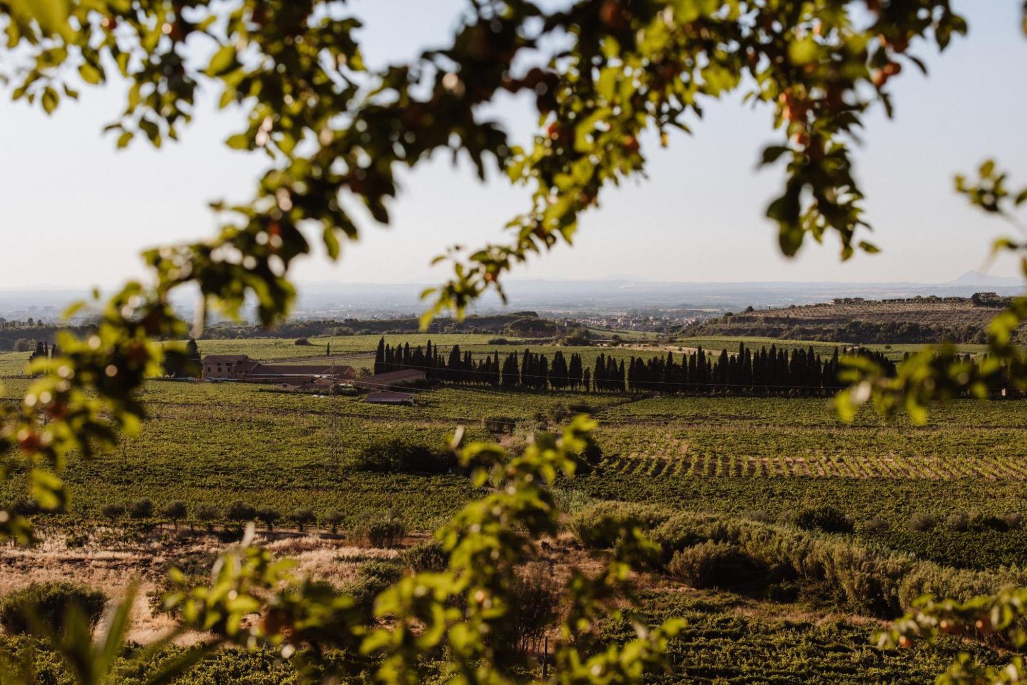 Merumalia Wine Resort Frascati Exteriör bild