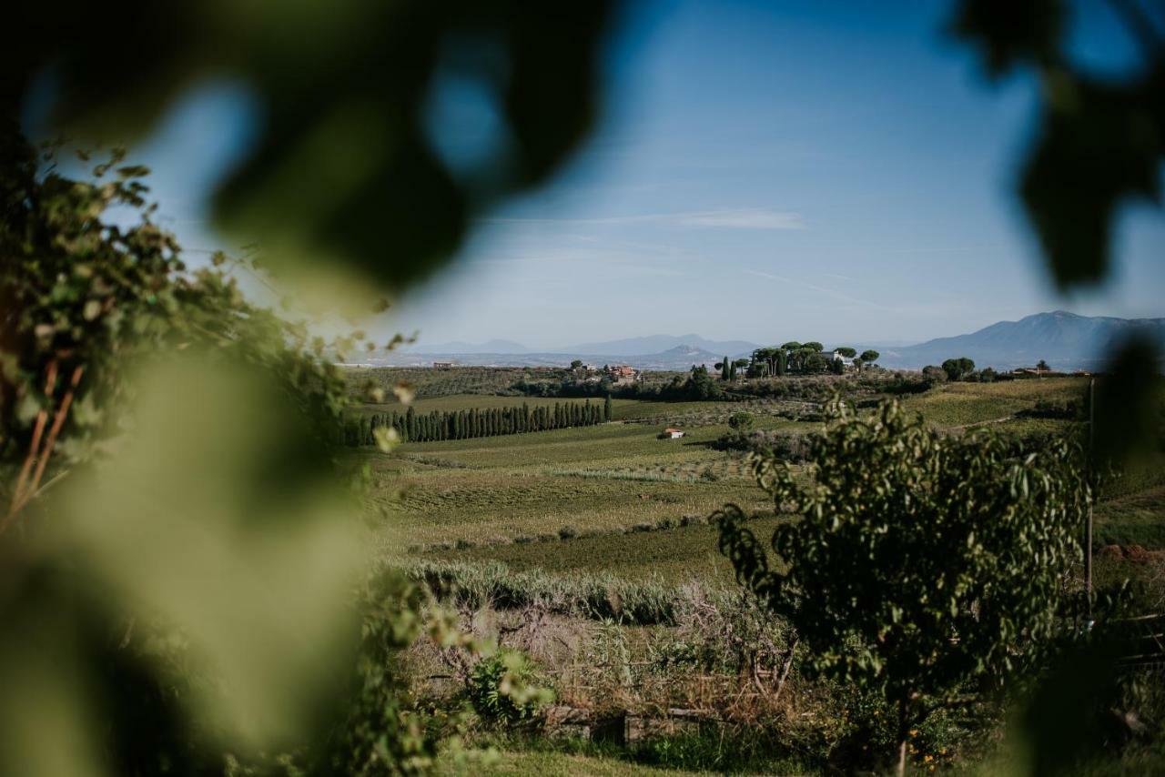 Merumalia Wine Resort Frascati Exteriör bild